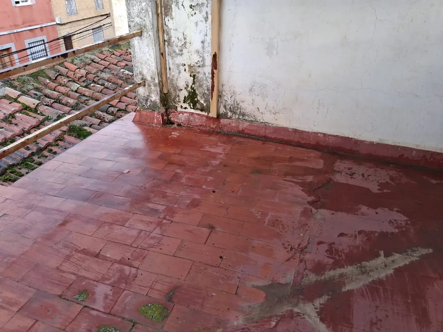 Terraza de Casa o chalet en venta en La Haba 