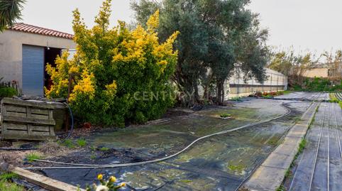 Photo 5 of Land for sale in Carrer del Torrent Dels Bassals, Viiassar de Mar, , -1, Zona Industrial i Agrícola, Vilassar de Mar