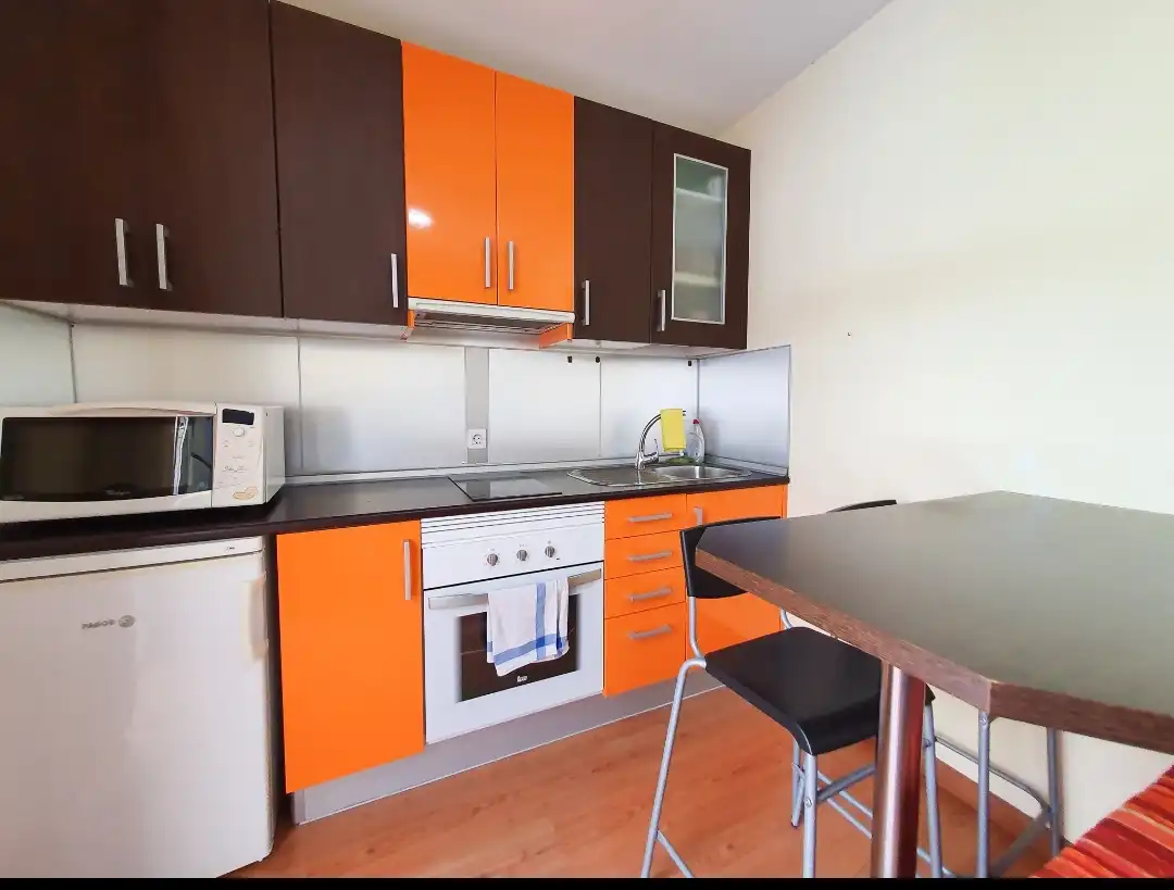 Cocina de Piso en venta en Mogán con Terraza, Amueblado y Lavadora