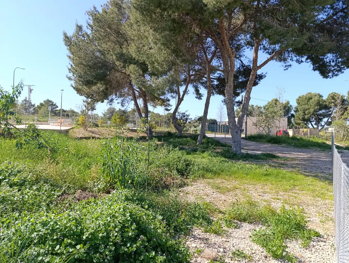 Terreno residencial en venta en Carrer Bellavista-D 24, imagen 5