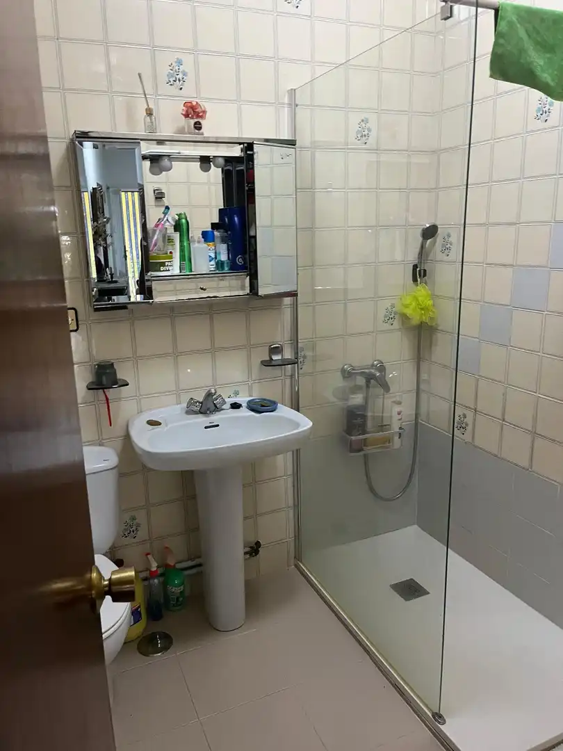Baño de Casa o chalet en venta en Toledo con Jardín privado, Trastero y Amueblado