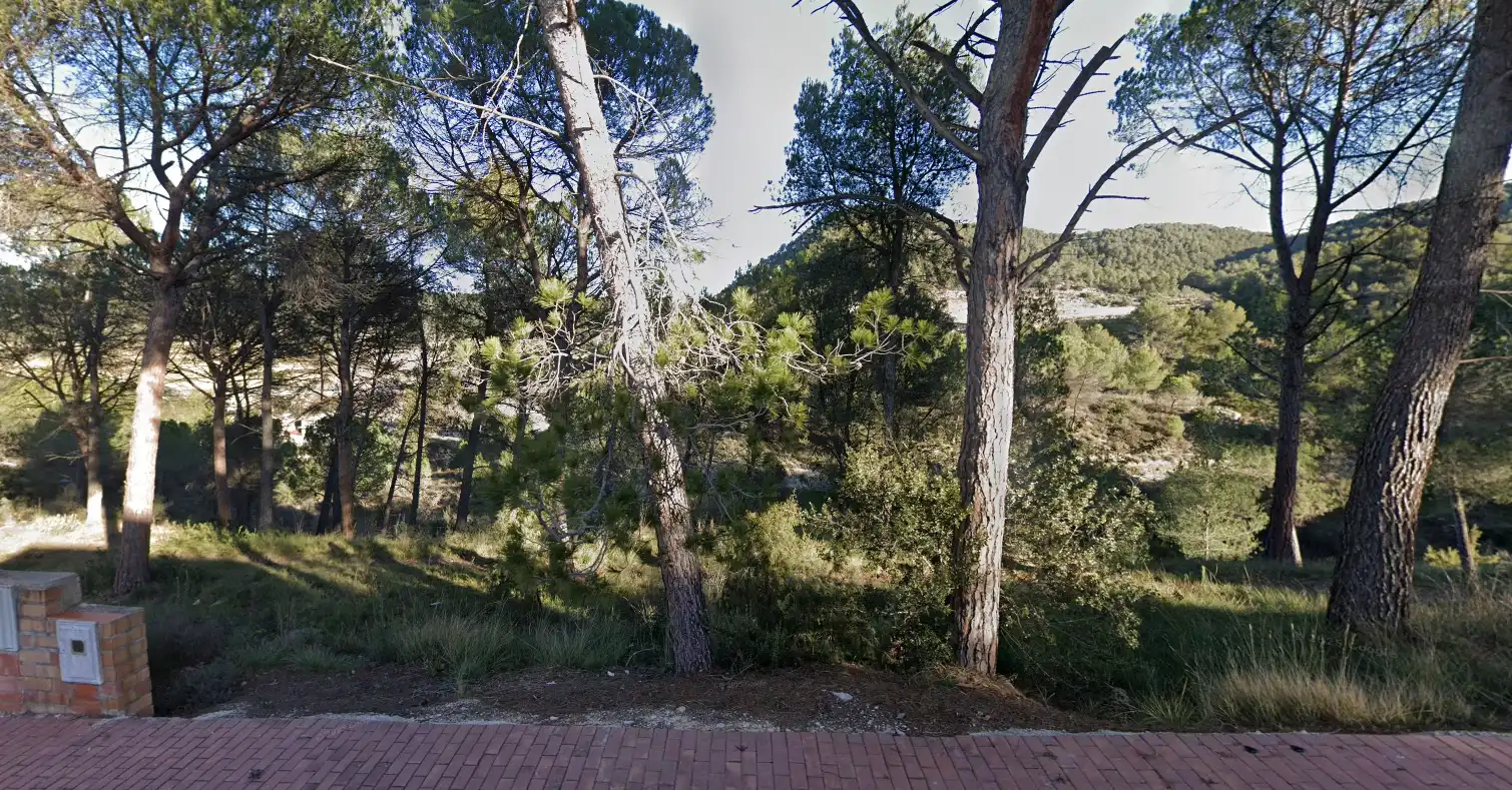 Terrenos y solares en venta en dels Pins, imagen 4