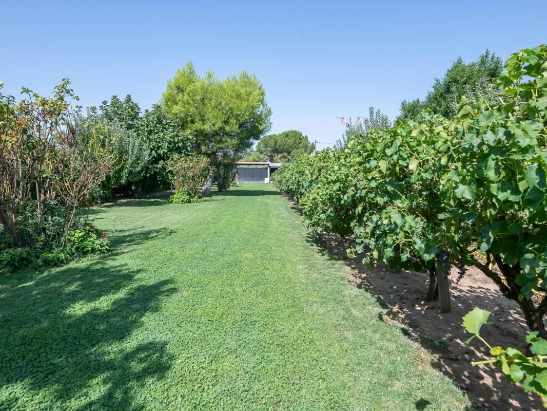 House or chalet for sale in Cam. Viejo del Casar, 222, Fuente El Saz de Jarama