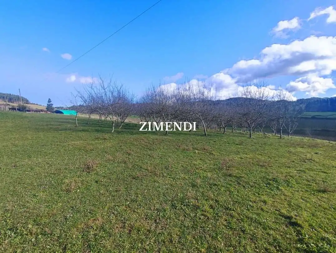 Terreno rustico in vendita a Abadiño, imagen 4