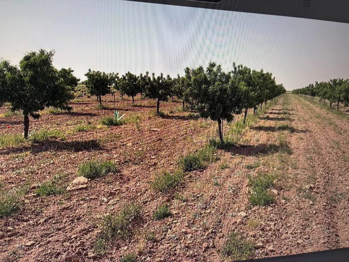 Terreno rústico en venta en N/A, imagen 11