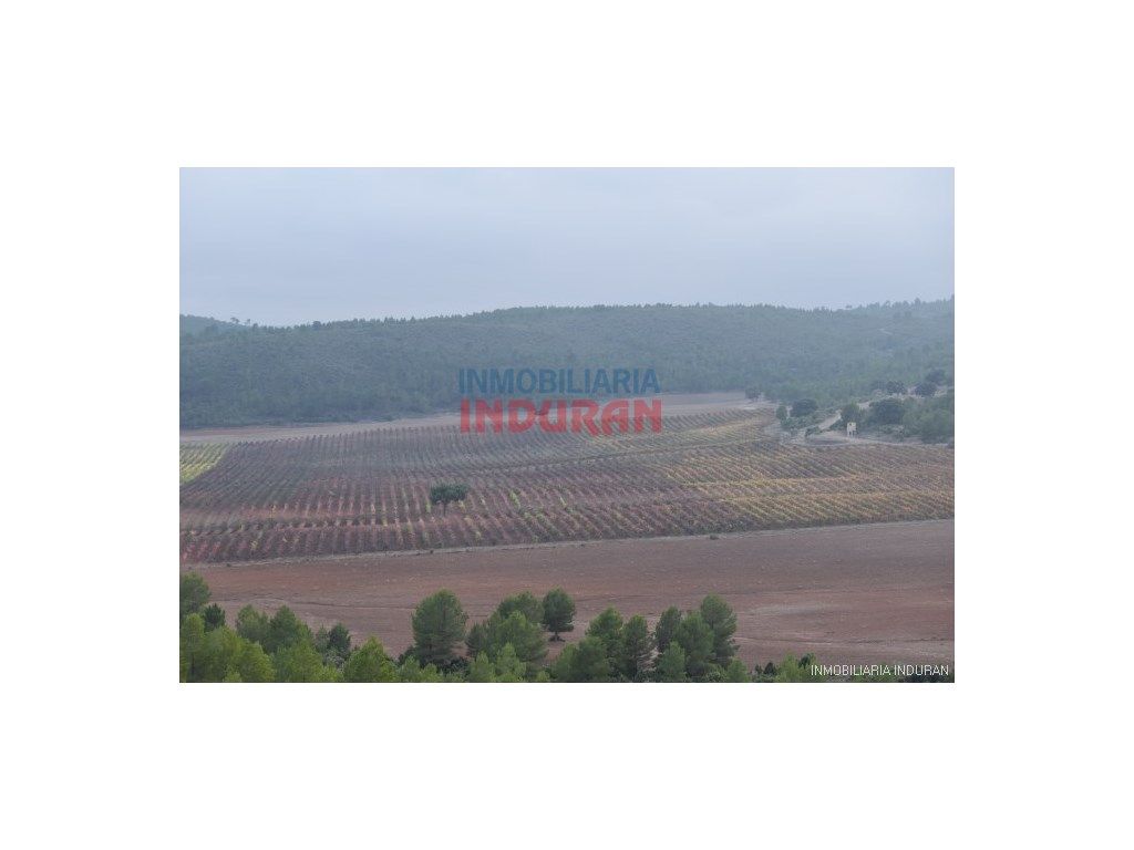 Finca rústica en venda en Víllora