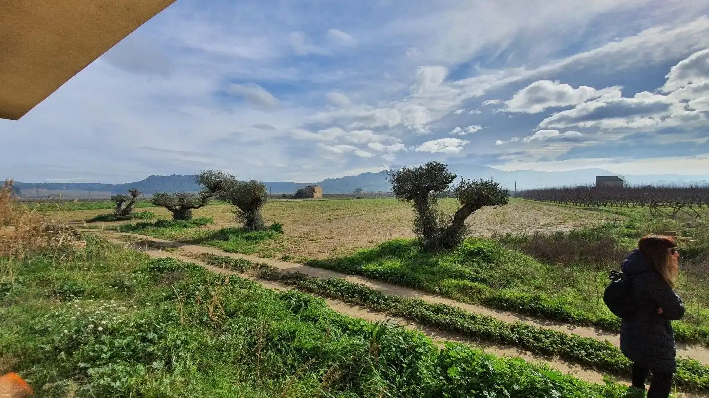 Casa o chalet en venta en Benissanet con Terraza