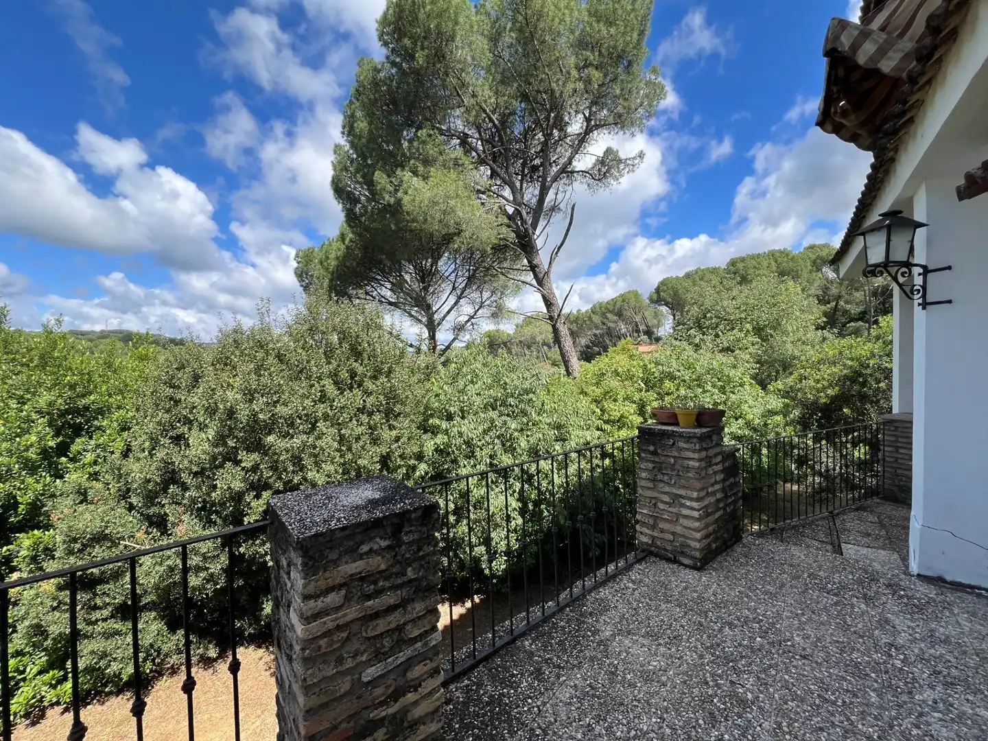 Chalet con piscina en venta en Calle Calle Puerto Artafi, imagen 84
