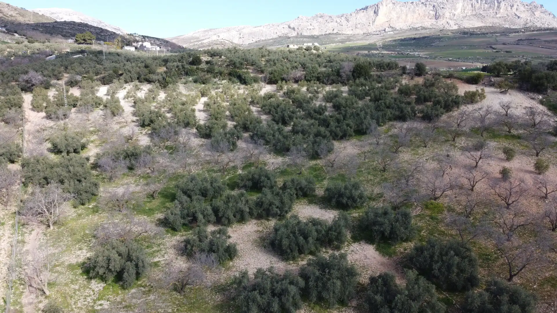 Casa o chalet en venta en Antequera con Calefacción y Terraza