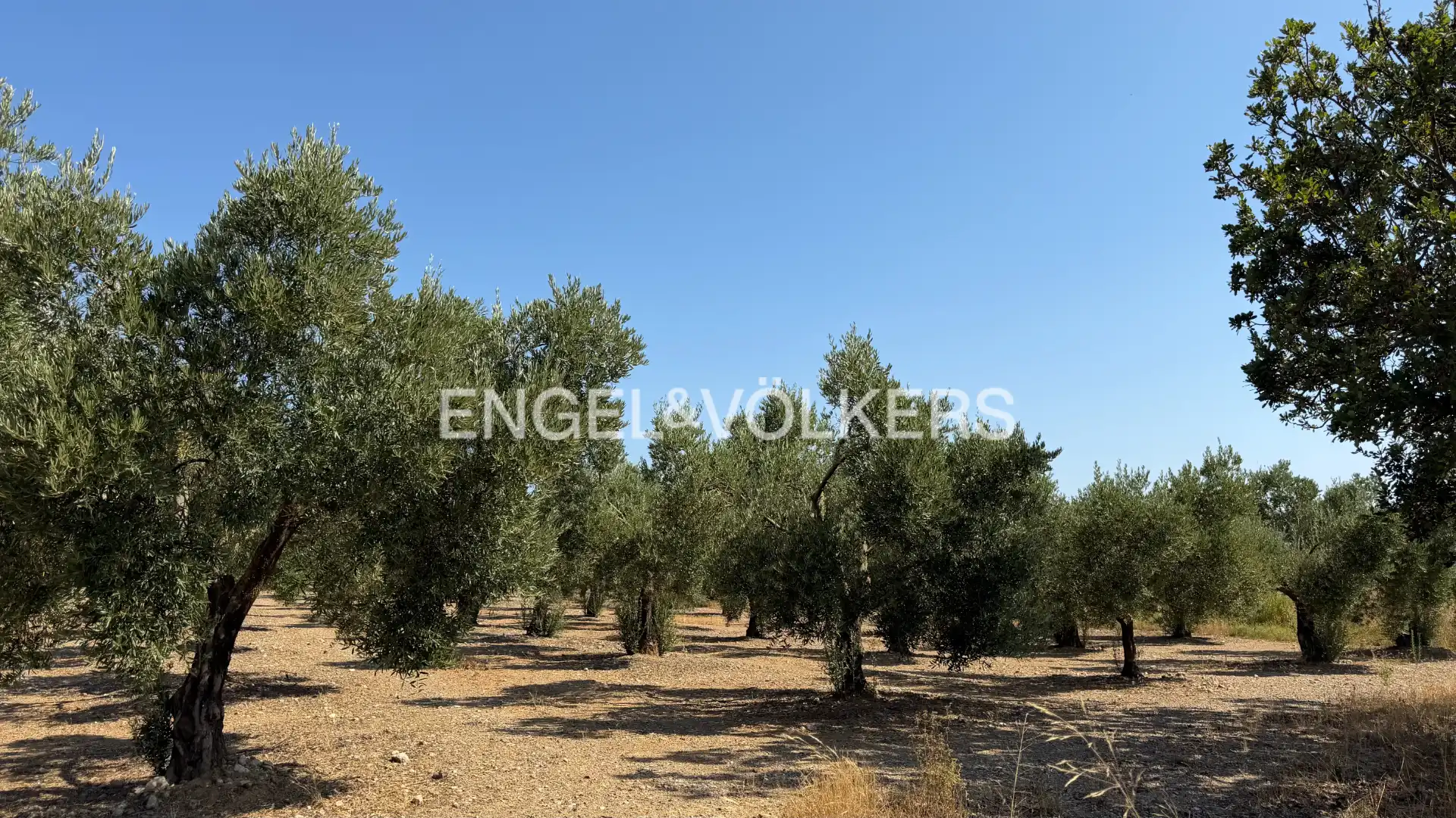 Land for sale in Pedret i Marzà