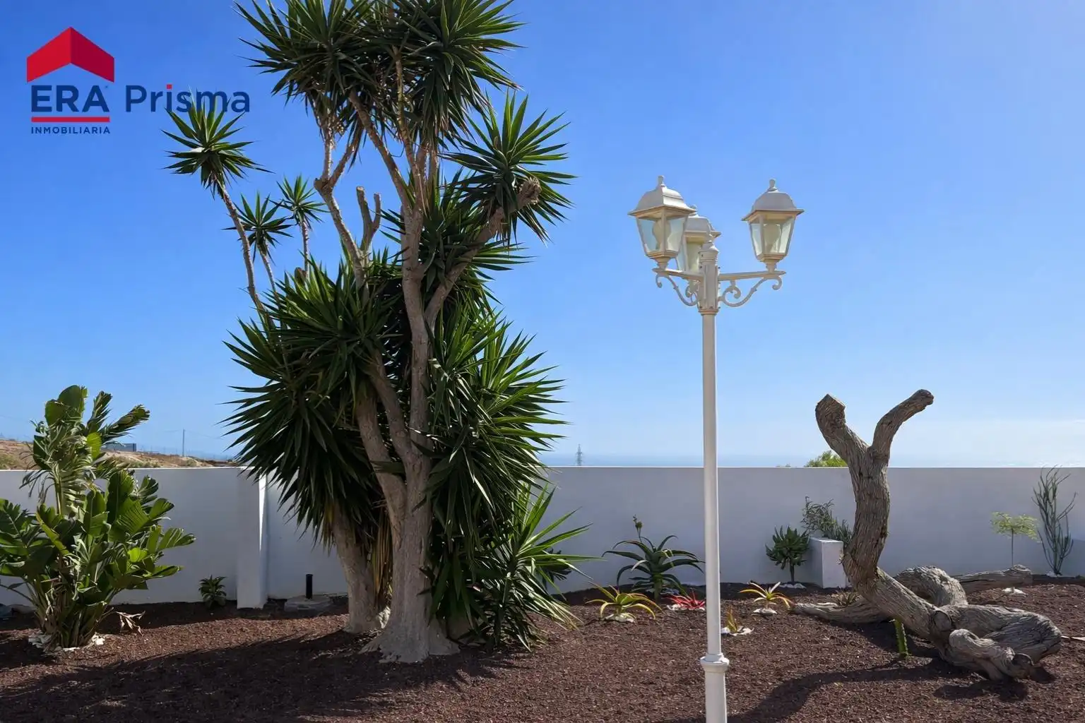 Vista exterior de Casa o chalet en venta en Fasnia con Aire acondicionado, Jardín privado y Piscina