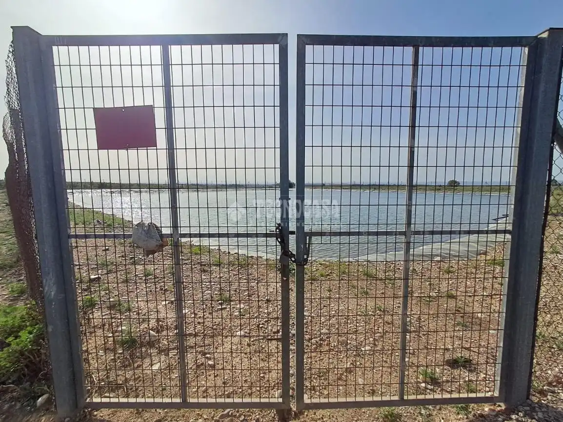 Terreno rustico in vendita a Carmona, imagen 4