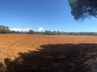 Terrain résidentiel à vendre à La Muela