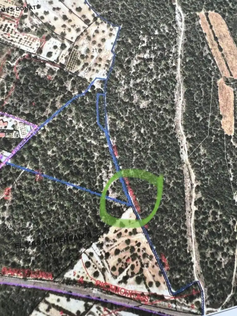 Terreno rustico in vendita a La Pobla de Montornès, imagen 2