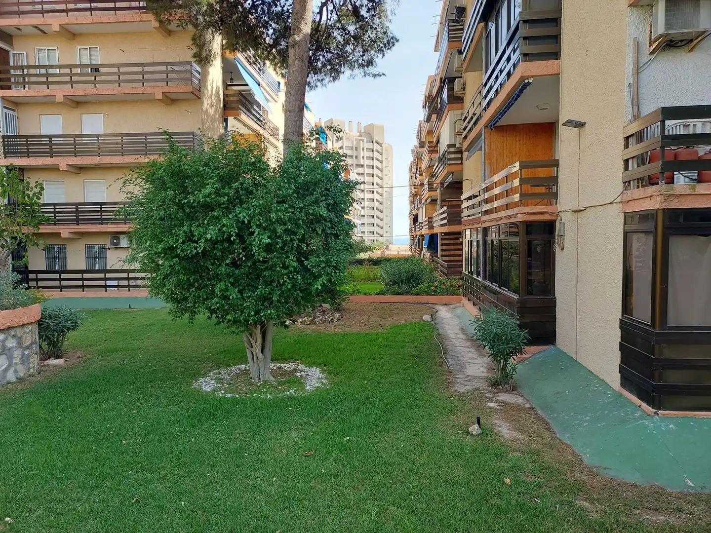 Exterior view of Flat for sale in El Campello  with Terrace, Furnished and Community pool