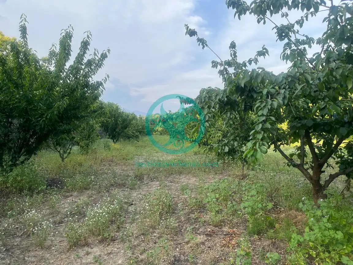 Terreni e lotti in vendita a Garganta la Olla, imagen 9