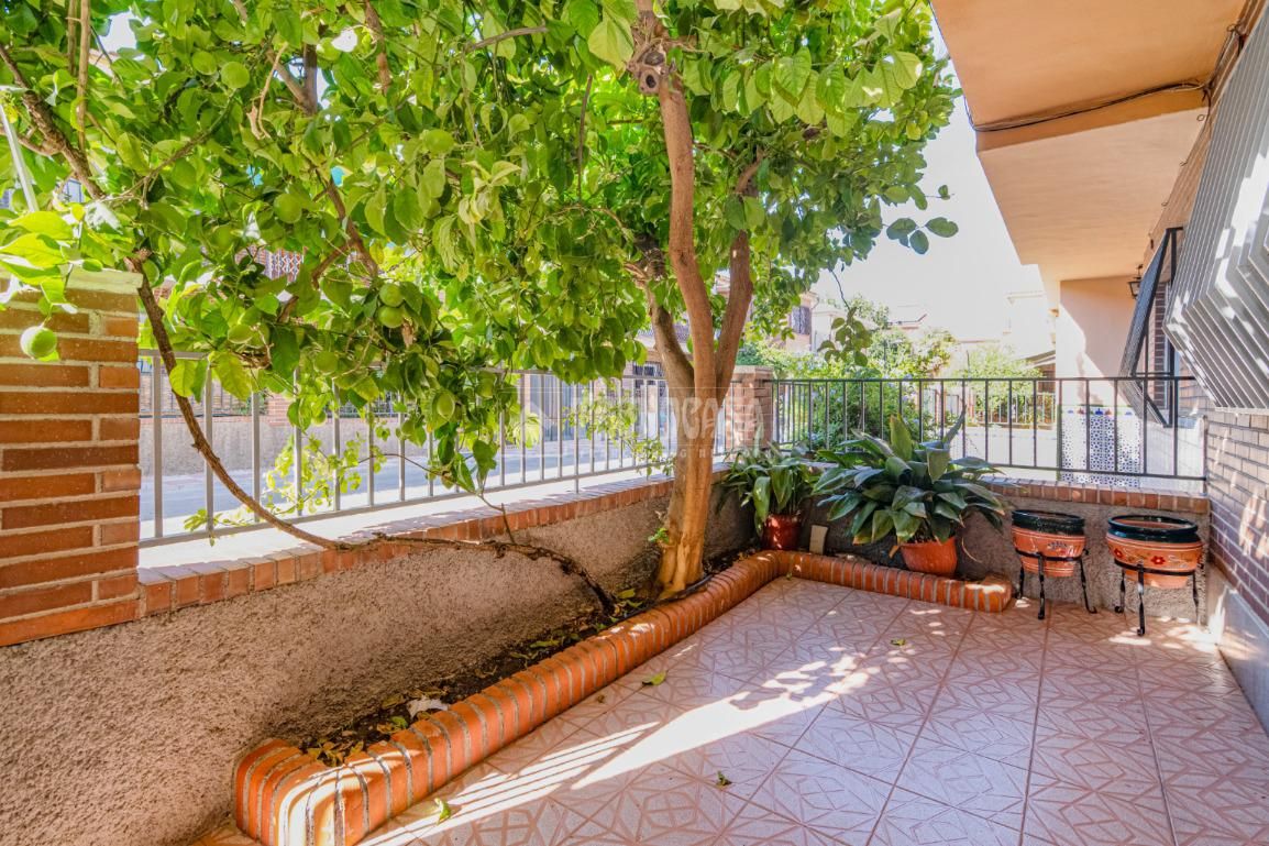 Vista exterior de Casa o chalet en venta en Armilla con Aire acondicionado y Balcón