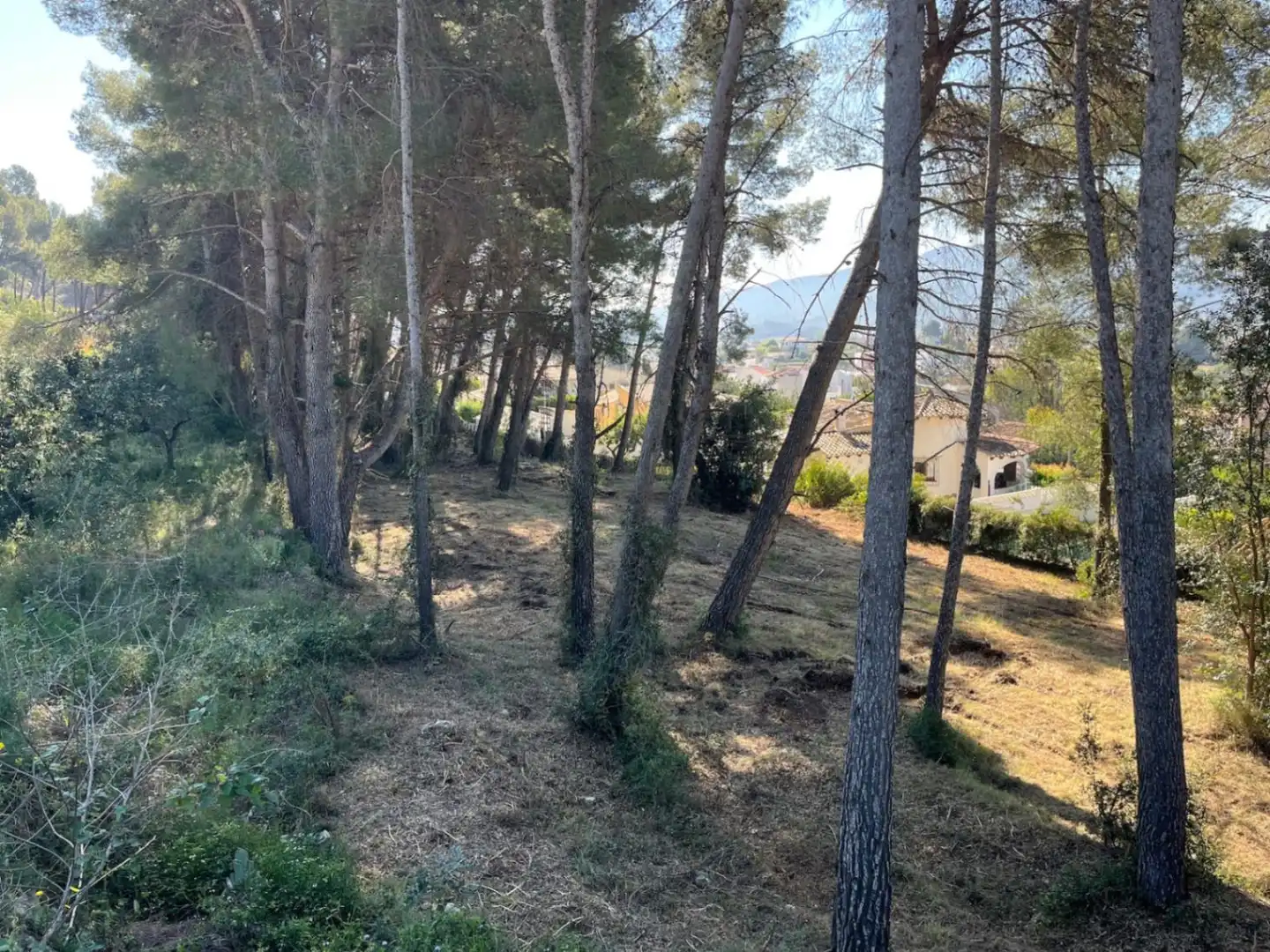Terreny residencial en venda a Alcalalí, imagen 6