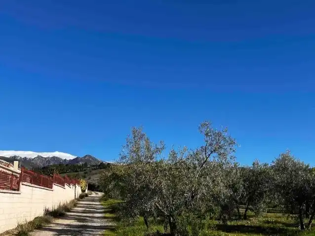 Vista exterior de Terreno en venta en Gójar