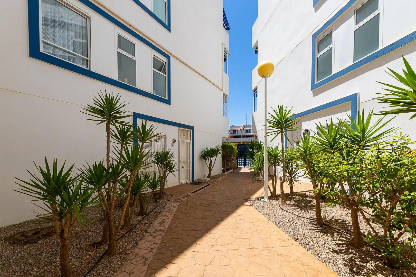 Vista exterior de Planta baixa en venda en Orihuela amb Jardí privat, Terrassa i Piscina comunitària