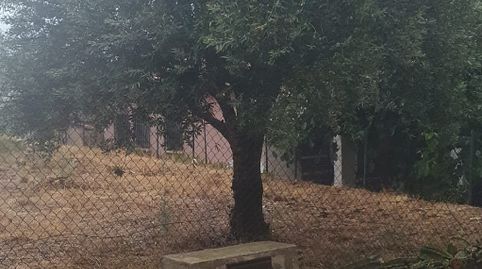 Terreno urbano en urbanización de Gandia, imatge 3