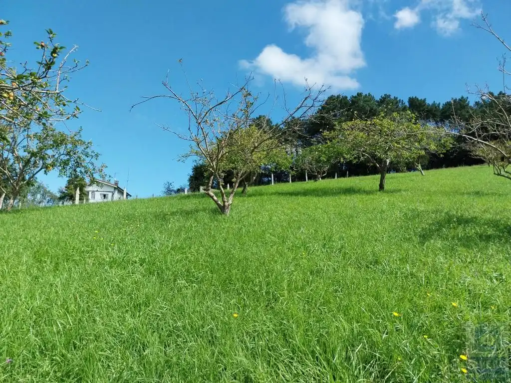 Grundstücke und Bauplätze zum Verkauf in Illas