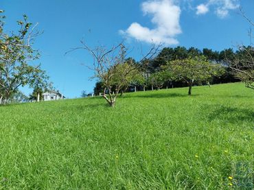 Wohnbaugrundstück zum Verkauf in Illas