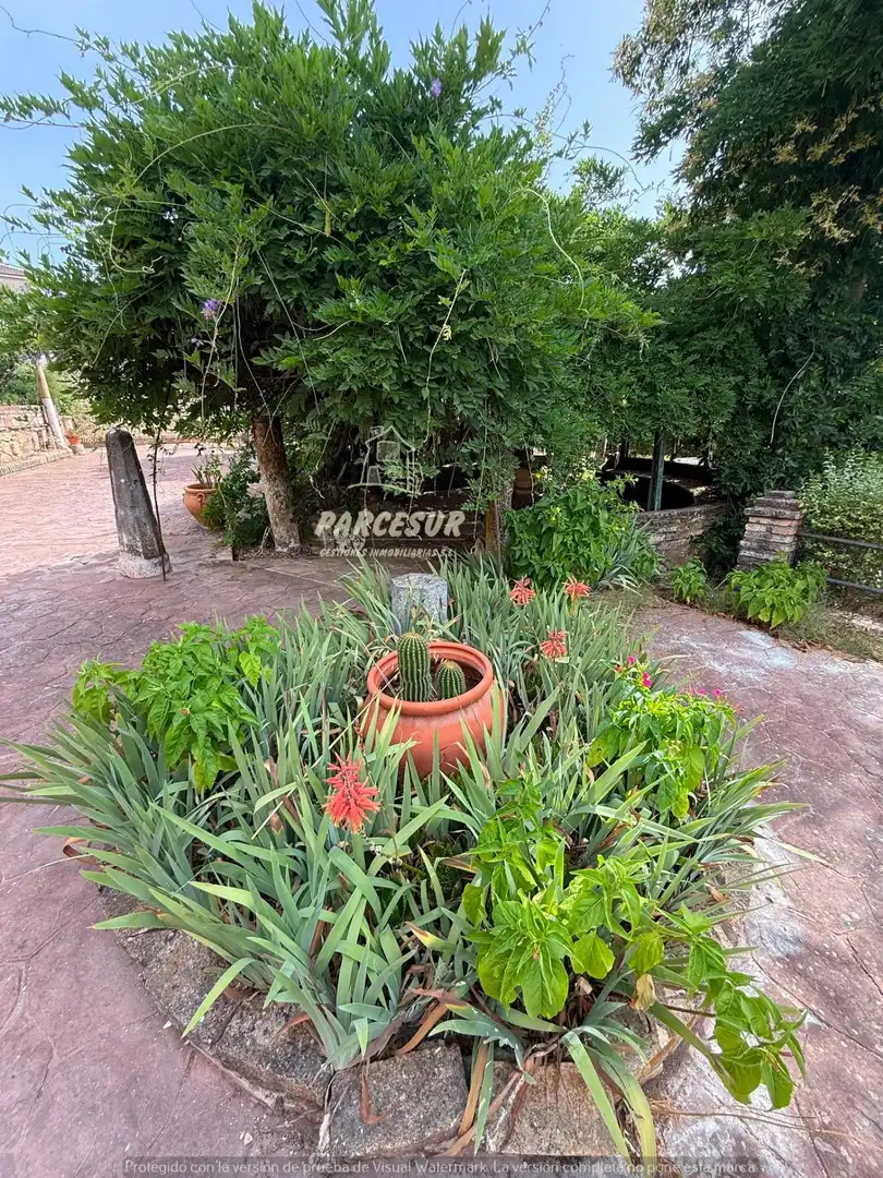 Finca rústica en venda en Córdoba amb Aire condicionat, Calefacció i Jardí privat