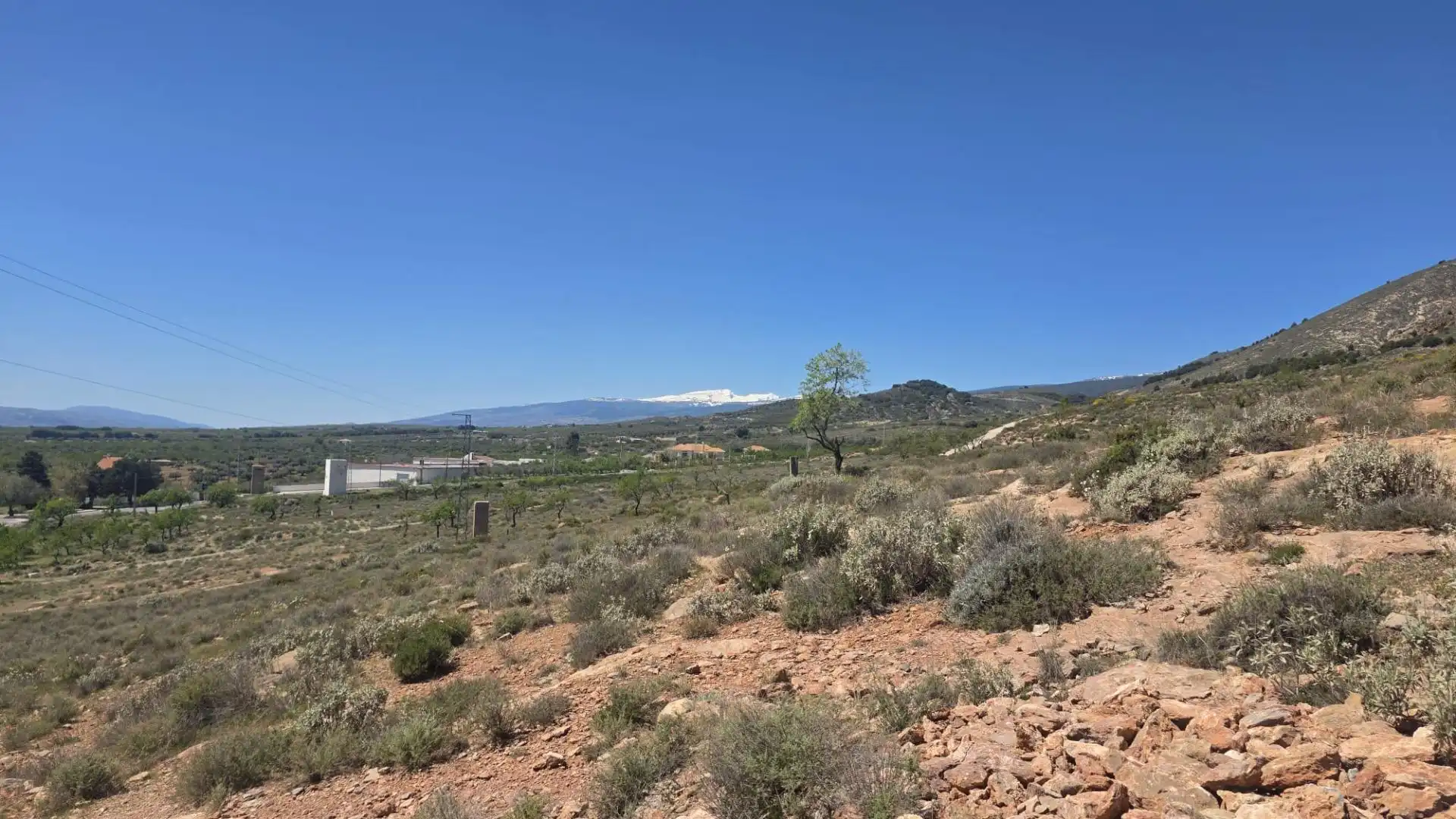 Country homes for sale in Laujar de Andarax