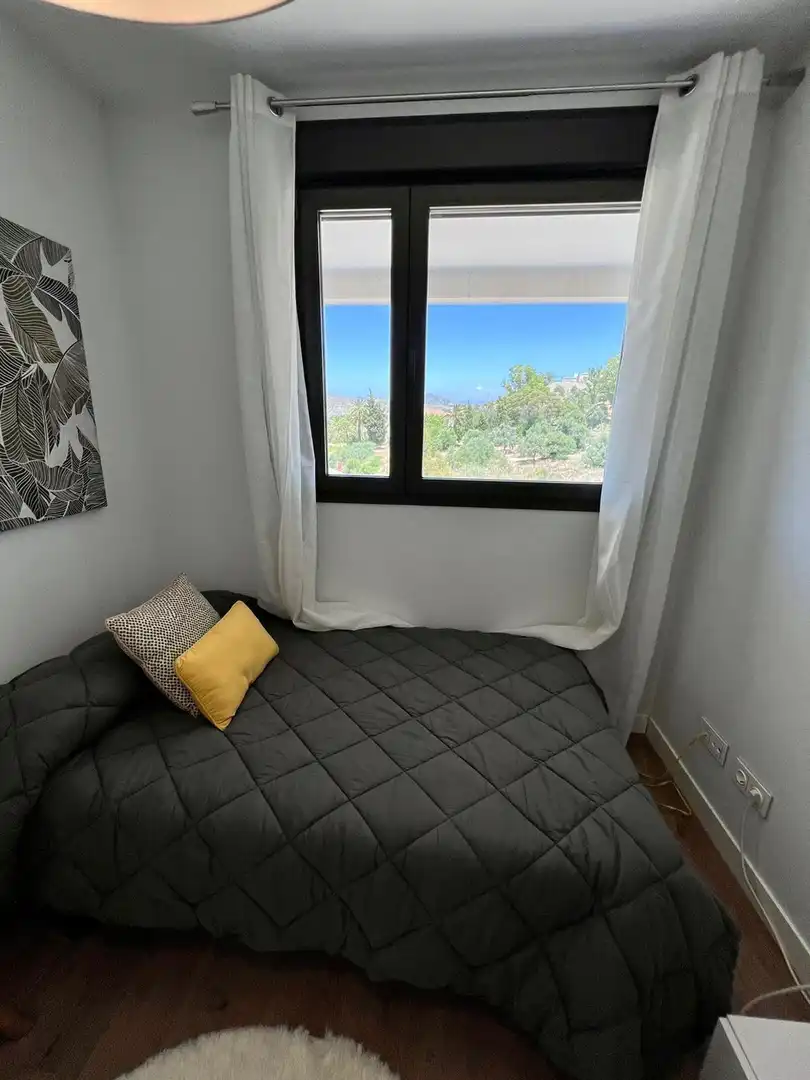 Piso con piscina en venta en Calle Calle Navarro Ledesma, imagen 16