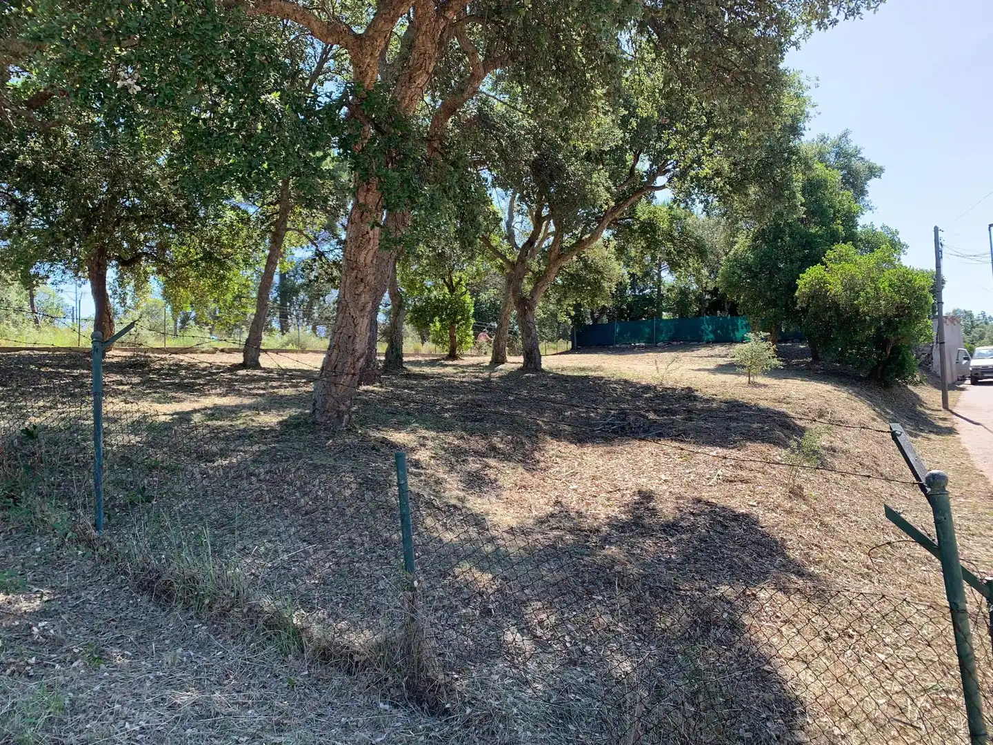 Terreni e lotti in vendita a solsonès, imagen 8