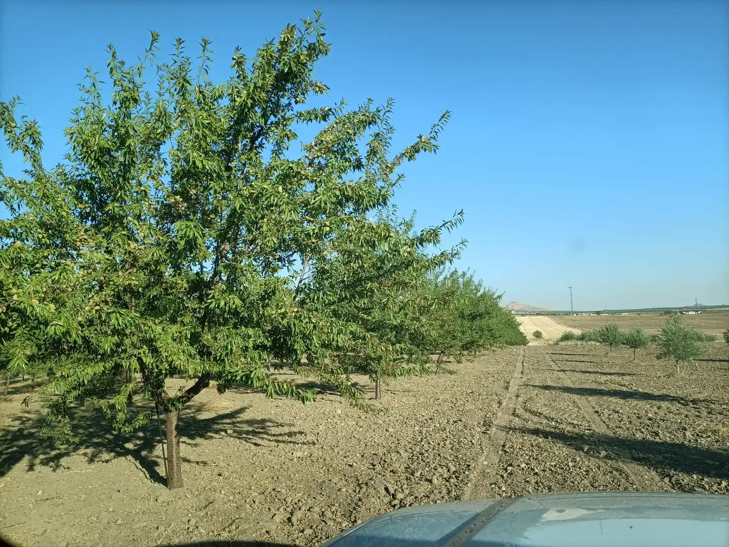Terreny rústic en venda a Orgaz, imagen 6