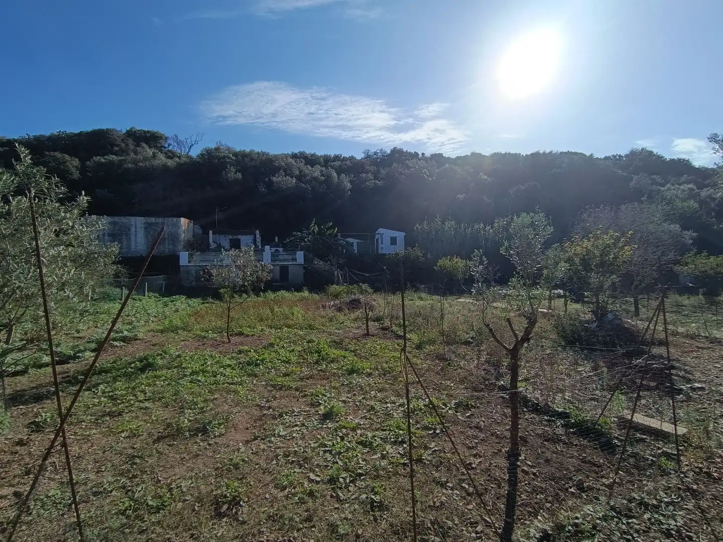 Terreno en venta en Maó - Mahón