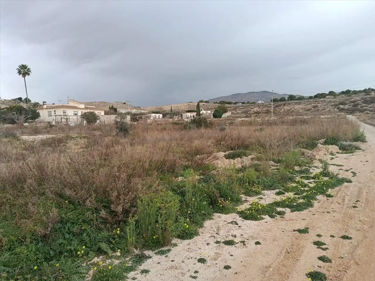 Terreno rustico in vendita a Polígono 9 Parcela 77 SECANET, 0, imagen 9