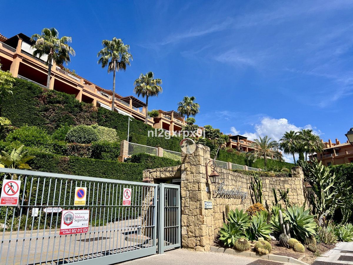 Vista exterior de Planta baixa en venda en Estepona amb Aire condicionat, Terrassa i Piscina