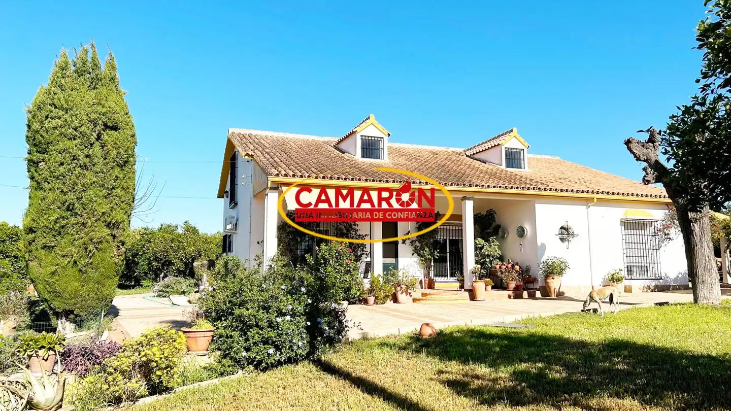 Jardí de Finca rústica en venda en Coria del Río amb Jardí privat i Piscina