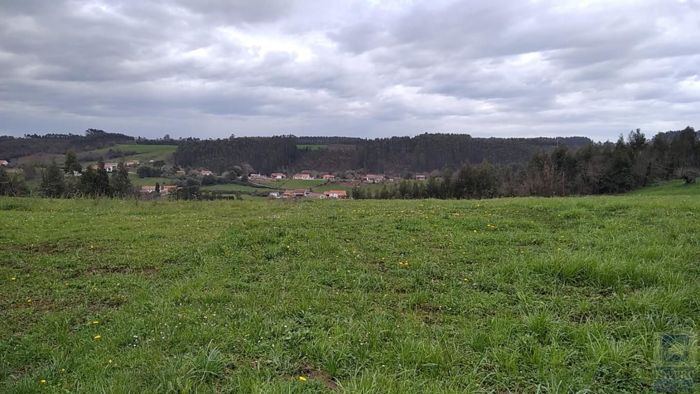 Land for sale in Carreño