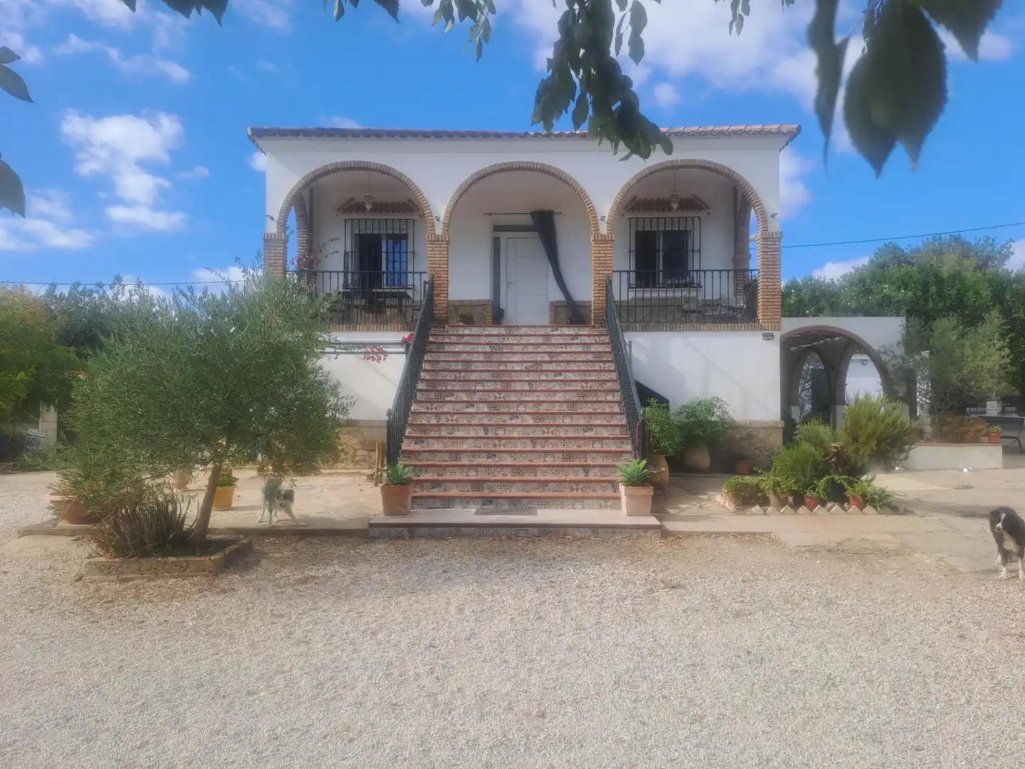Vista exterior de Casa o xalet en venda en Cantillana amb Aire condicionat, Calefacció i Jardí privat