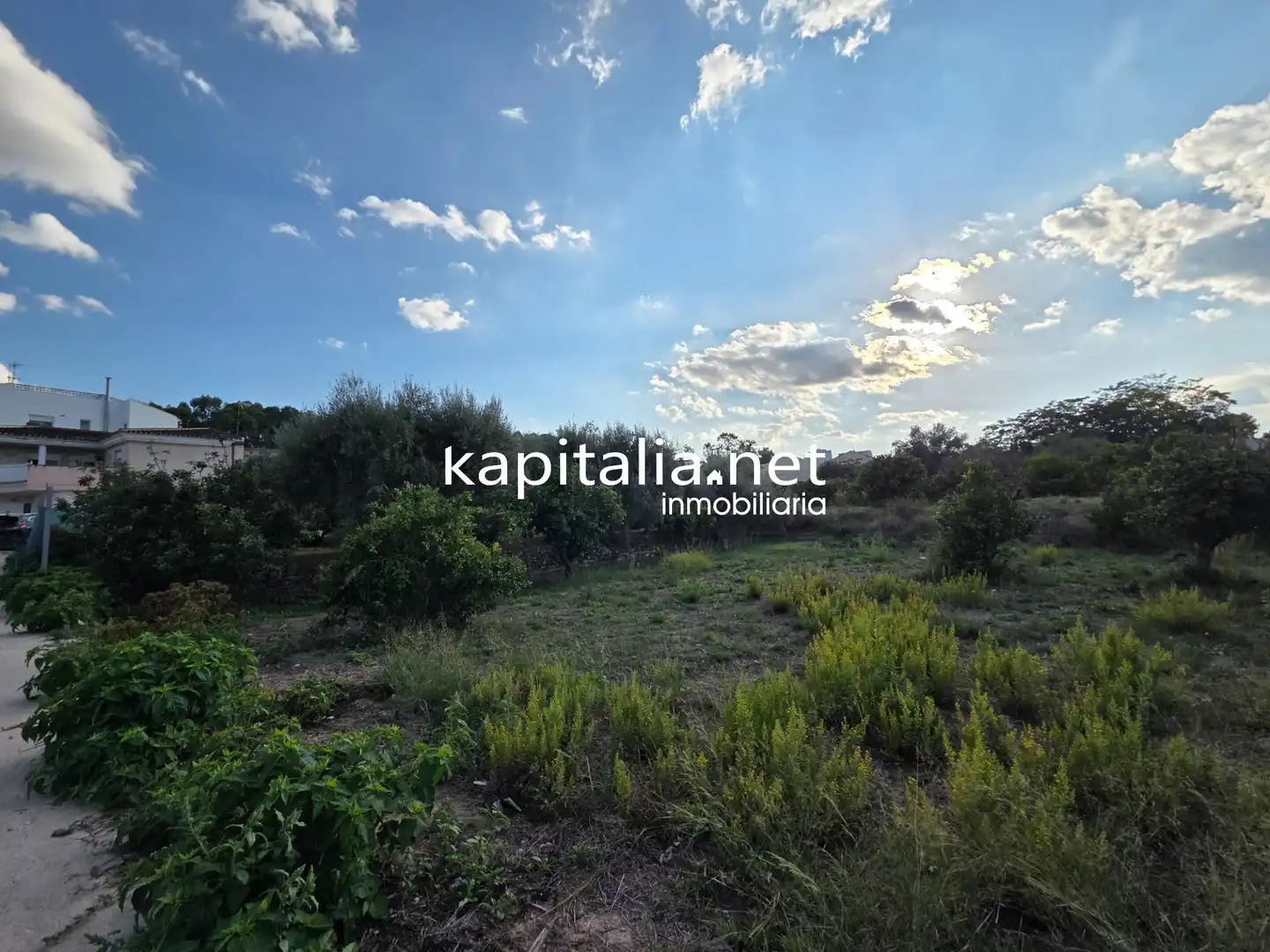 Terreno residenziale in vendita a Agullent, imagen 5