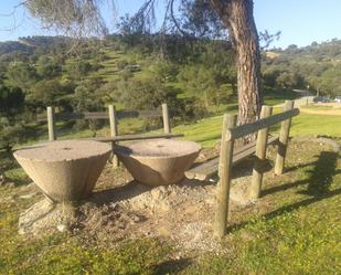 Jardí de Finca rústica de lloguer en Adamuz amb Aire condicionat, Jardí privat i Moblat