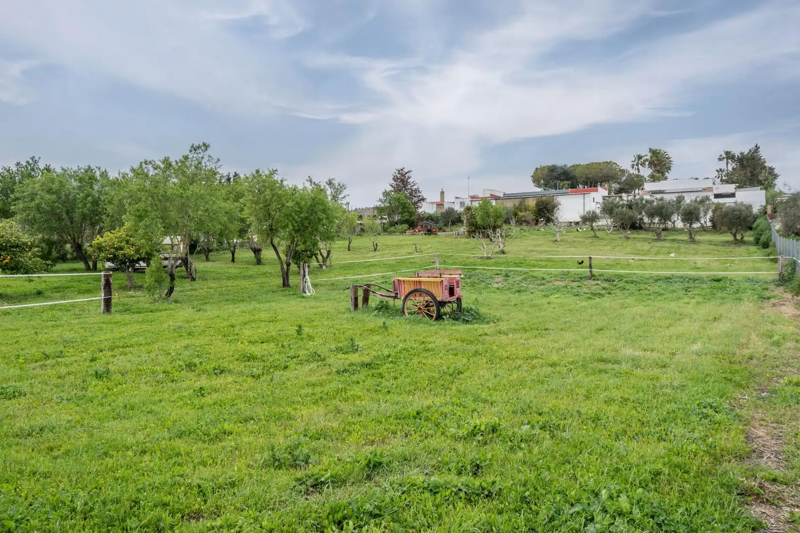 Haus mit Pool zum Verkauf in Las Lagunas - Campano, imagen 92