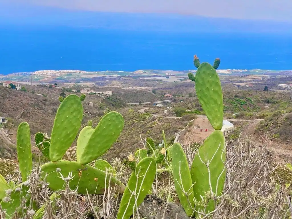 Land for sale in Guía de Isora interior