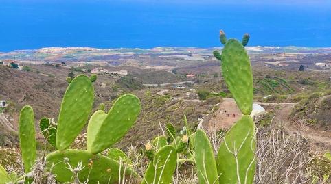 Photo 5 of Country house for sale in Guía de Isora interior, Santa Cruz de Tenerife