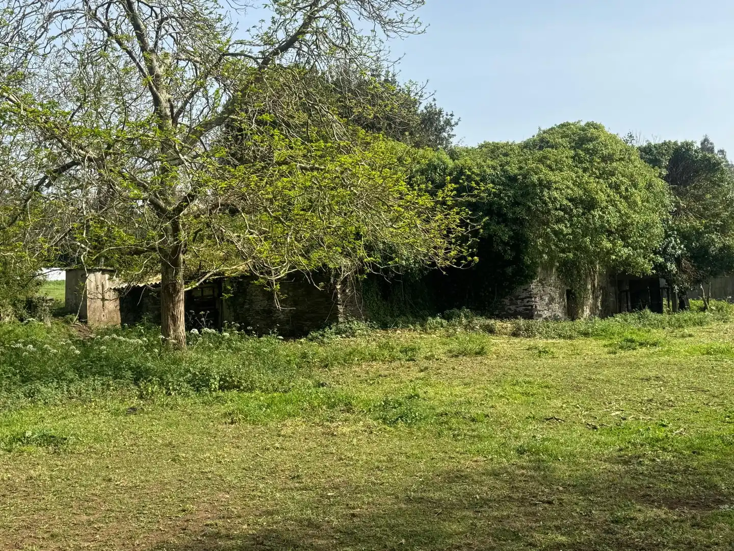 Casa rústica en venda a Lugar Pena 31, imagen 11
