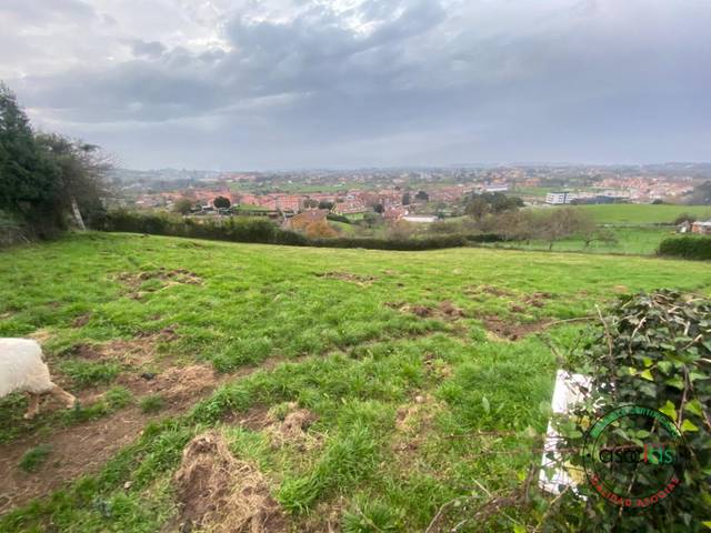 Terreno residencial en Venta en La Camocha - CAMIN DEL SUCU en Vega