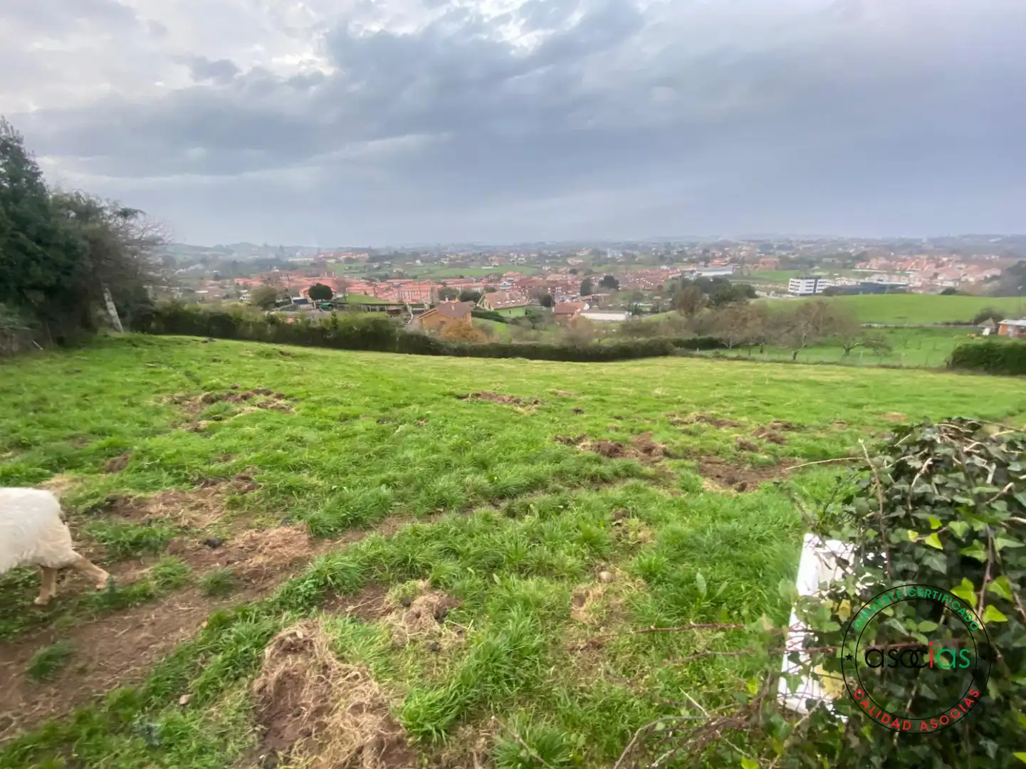 Terreny residencial en venda a La Camocha - CAMIN DEL SUCU