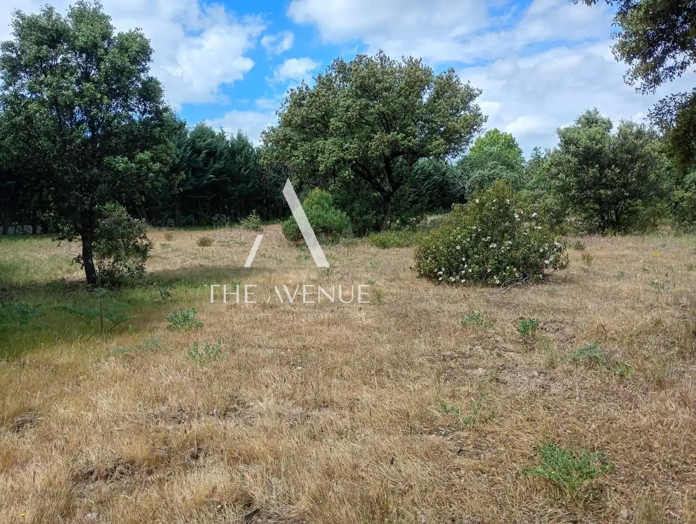 Terreno residencial en venta en Calle Enebros