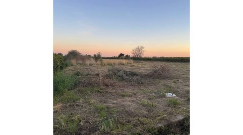 Photo 5 of Land for sale in Camino Mar, Piscinas, Vila-real