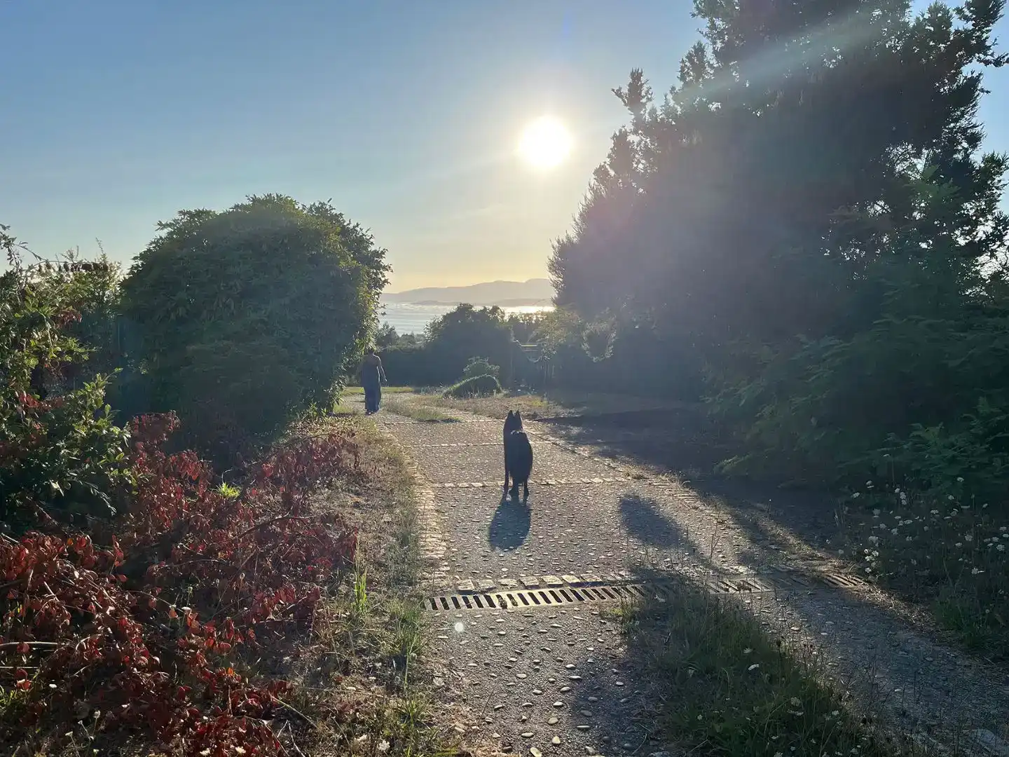 Vista exterior de Casa o xalet en venda en Vilagarcía de Arousa amb Balcó