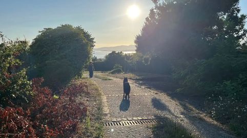 Foto 3 de Casa o xalet en venda a Arealonga, Vilagarcía de Arousa